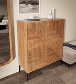 Load image into Gallery viewer, Pitch Shoe Cabinet