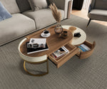 Load image into Gallery viewer, Living Statch Table
